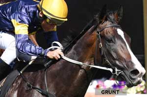 Grunt Race Horse 160818