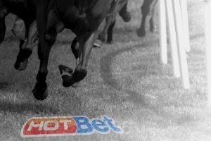 HOT Bet Logotrack