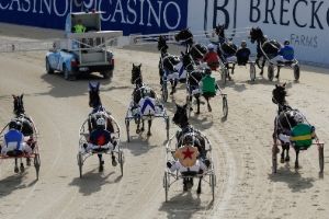 Harness Racing4