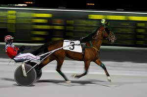 Harness Racing6