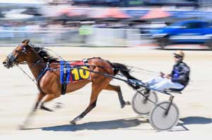 Harness Racing9