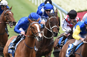 Horse racing general image Melbourne