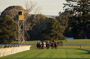 Kembla Grange Front On2