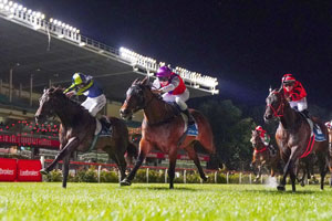 Moonee Valley Night Stand