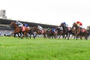 Oakleigh Plate 2023