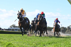 Rail image 01 horse racing