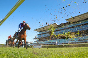 Randwick Chopped Grass