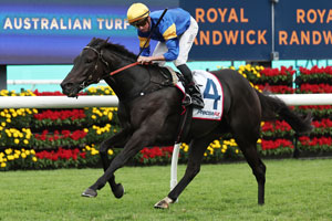 Randwick Finish 4