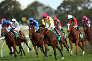 Randwick chad schofield