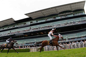 Randwick grandstand racetrack