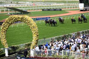 Rosehill Crowd view