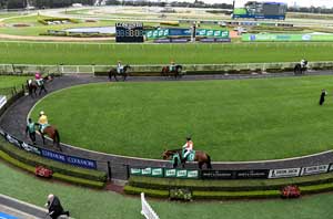 Rosehill Mounting Yard