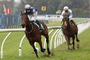 Rosehill Wet Ground