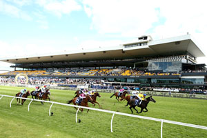 Rosehill full grandstand