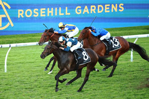 Rosehill large sign