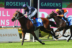 Rosehill low sign