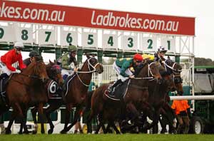 Sandown Barriers