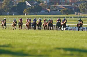 Sandown GroundGeneric