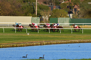 Sandown Lakeside Pond