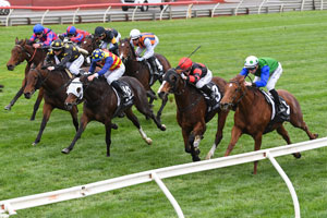 Sandown rail field