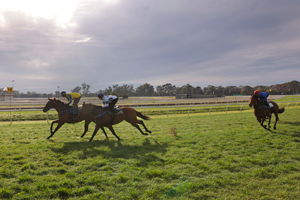 Warwick Farm side