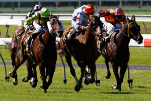 goodwood finish